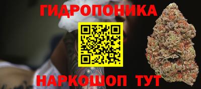 PSILOCYBIN Краснознаменск