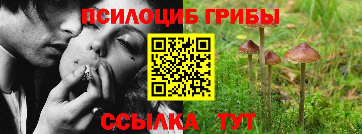 продажа наркотиков  Галлюциногенные грибы Psilocybe  Галлюциногенные грибы мицелий  Вход с VPN  Каменск-Шахтинский 
